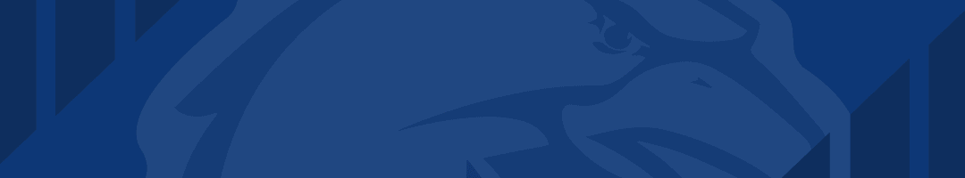 V站体育赛事-段昂君入选2025CBA全明星赛北区替补阵容